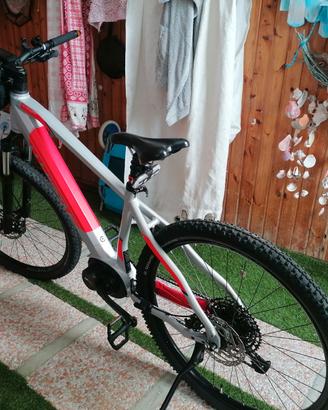 E bike