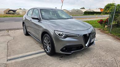 Alfa Romeo Stelvio autocarro N1
