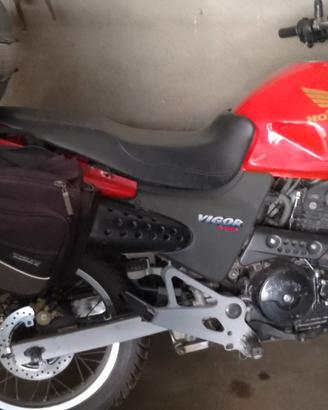 Honda Vigor 650