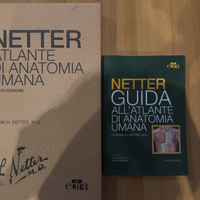 Netter Atlante di Anatomia umana