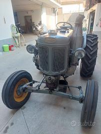Landini testacalda 