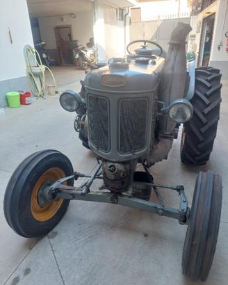 Landini testacalda 