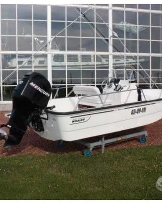 Boston Whaler Montauk 170