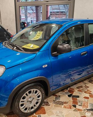 Fiat Panda 1.0 Hybrid 70cv "PANDINA" KM ZERO