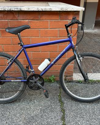 Bici Girardengo