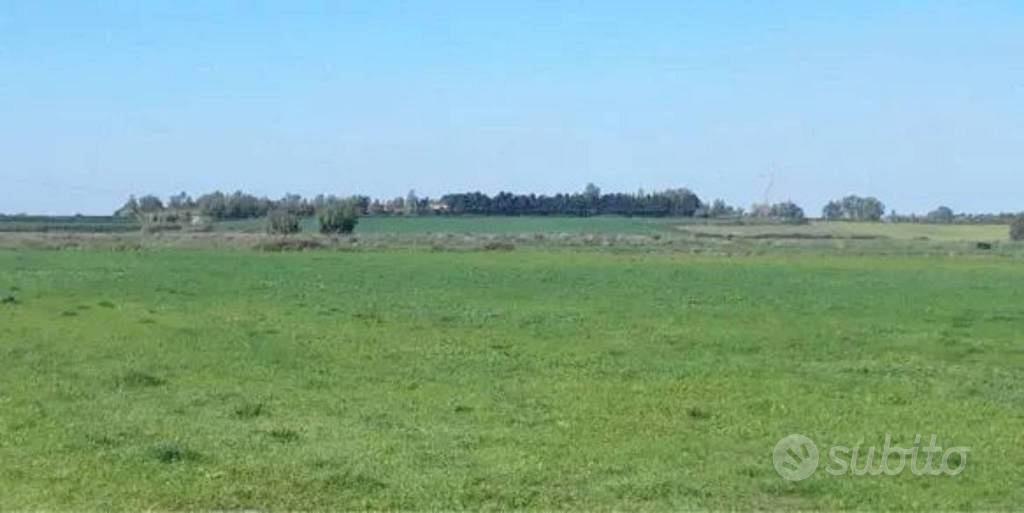 Immobile in asta di 26397 m² a Palmas Arborea - Vista 2
