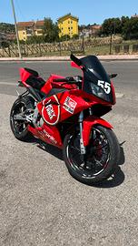 Aprilia rs 50 (88)