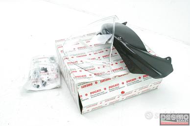 Kit cupolino carbonio Ducati Performance Monster 6