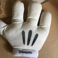 Guantone Topolino Disneyland