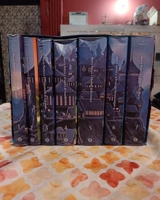 collezione libri Harry pottee