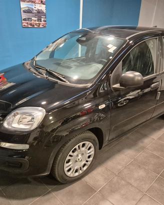 Fiat Panda 1.0 FireFly S&S Hybrid Pandina