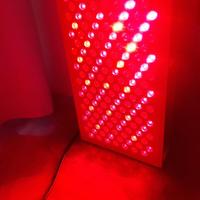 PlatinumLED Therapy biomax / red light therapy