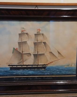 quadro stampa soggetto marino