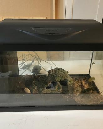 Acquario 
