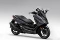 Honda Forza 350 MY25 NUOVO PRONTA CONSEGNA INTERES