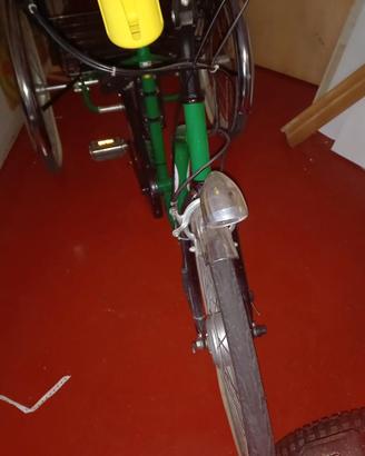 triciclo pedalata assistita 