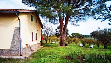 Villa zona Vitorchiano - il pallone Viterbo 