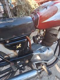 ducati SS serie bronco