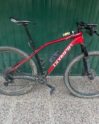Olympia iron tg L