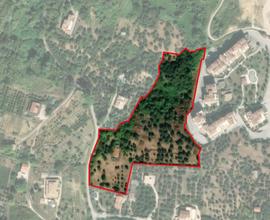 Terreno agricolo panoramico a Vasto