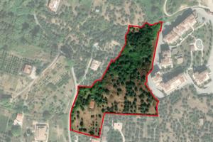 Terreno agricolo panoramico a Vasto