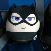 Cuscini dei supereroi DC