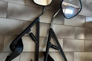 Coppia Specchi Supplementari per parafango