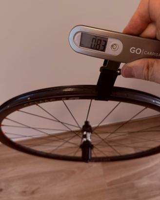 Ruote dt swiss carbonio