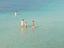 Immagine 19