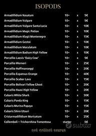 Isopodi