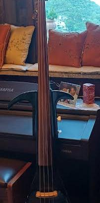 contrabbasso elettrico