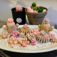 Creazioni in cera di soia