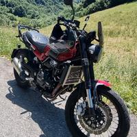 Benelli Leoncino 500 Trail accessoriato