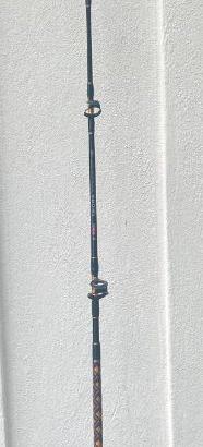 Canna da pesca con mulinello