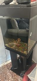 Acquario 