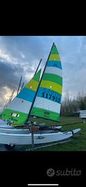 hobie cat 16 pronto per regatare