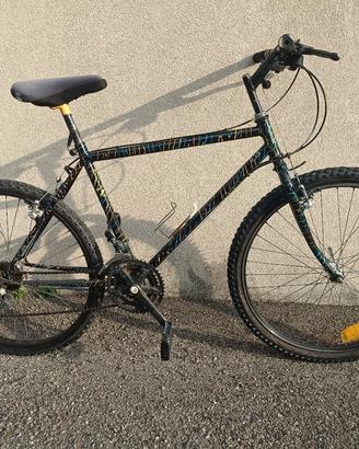 Bici MTB in ordine e pronta da usare
