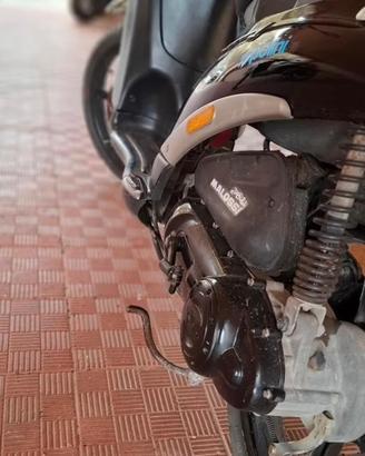 Liberty 50 2 Tempi Prima serie