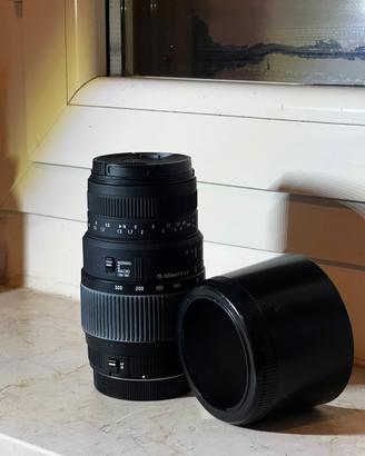 Sigma 70-300
