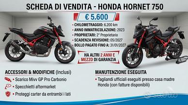 Honda Hornet 750 Mivv Gp Pro Carbon