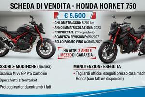 Honda Hornet 750 Mivv Gp Pro Carbon