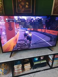 SMART TV LG 49 Pollici