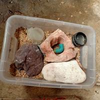 accessori acquario 