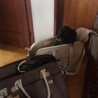 Trasportino per animali di taglia medio-piccola