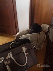 Trasportino per animali di taglia medio-piccola