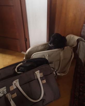 Trasportino per animali di taglia medio-piccola