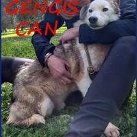 GENGIS CAN nonnino da sempre in gabbia