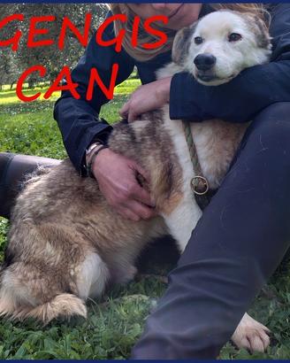 GENGIS CAN nonnino da sempre in gabbia