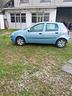 fiat-punto-1242