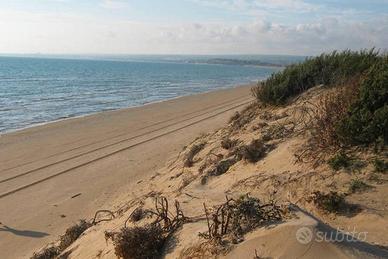 Villa svizzera a 150 mt dal mare LA VILLA E' DISPO